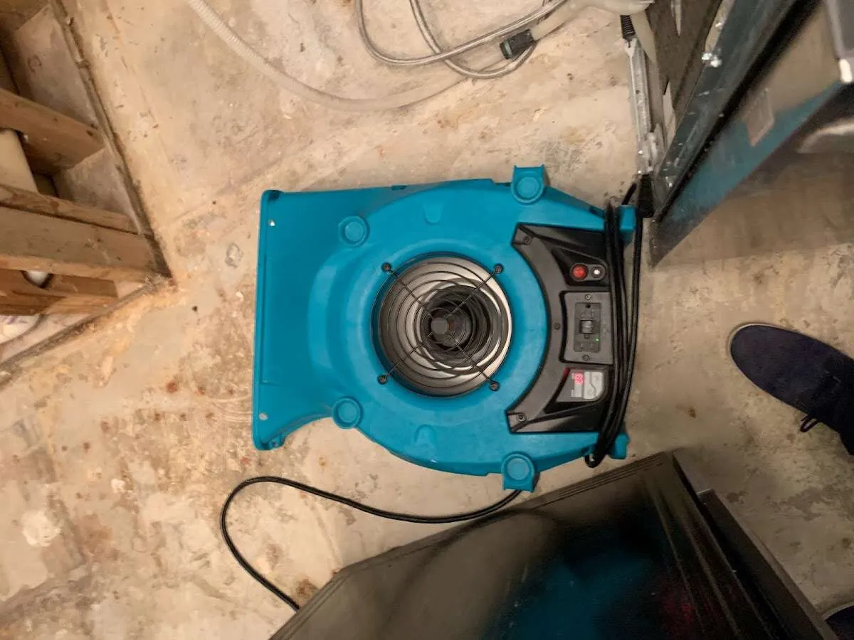 Air mover drying equipment for Mold Remediation & Removal in Elkton